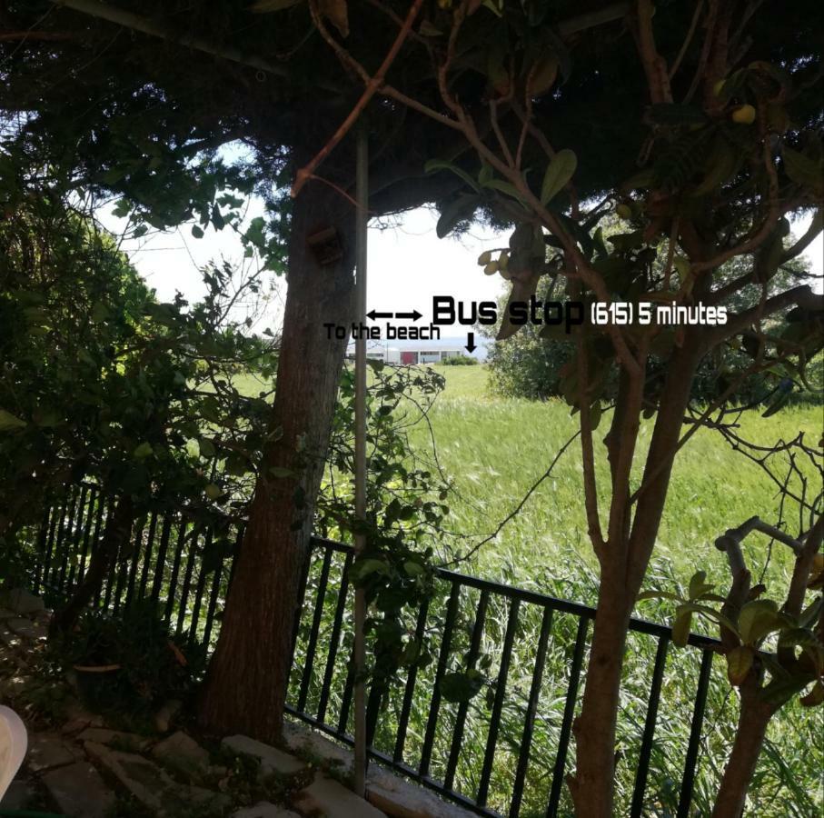 Chriselina Gottage Apartment Paphos Luaran gambar
